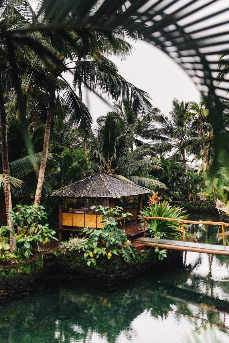 Travelling to US on Tourist Visa? You Can Apply For Jobs Now jose m w0emocfv2mq unsplash