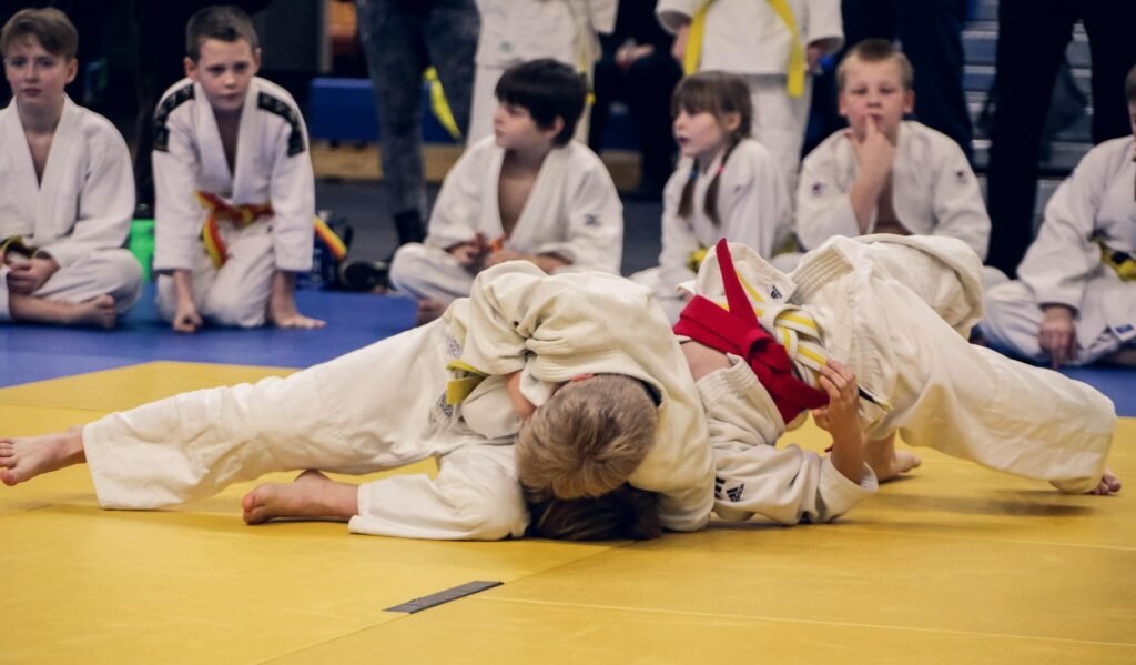 markuzsm judo 4454835 1920